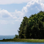 Callawassie & Spring Island Water Billing Changes: Monthly Billing Begins in June