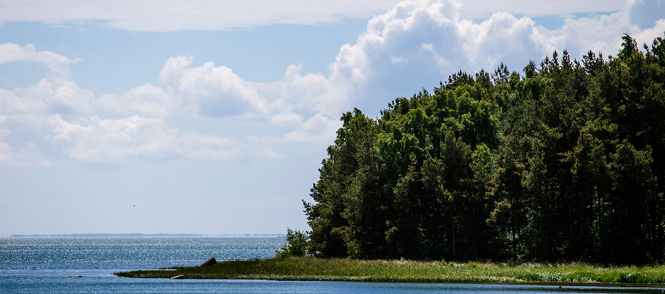 Callawassie & Spring Island Water Billing Changes: Monthly Billing Begins in June