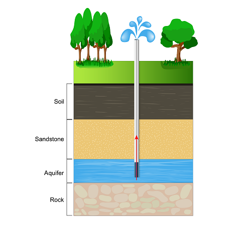 edible aquifer