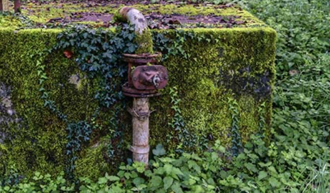 old abandoned water tank covered in moss and ivy utc o