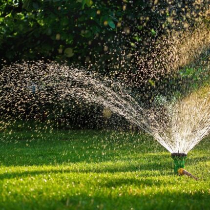 simple tips to conserve water during summers