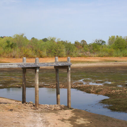 Lake,Tyler,In,East,Texas,During,Drought
